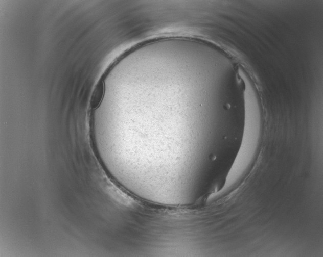 X0000076431288200611031830