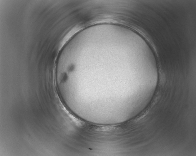 X0000076431290200611031830