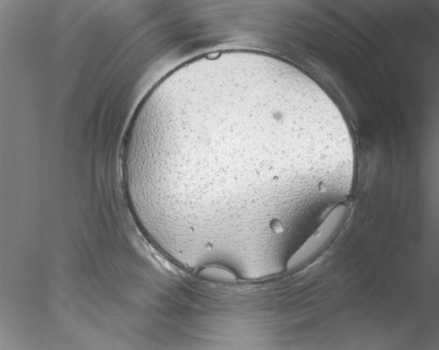 X0000076431292200611031830