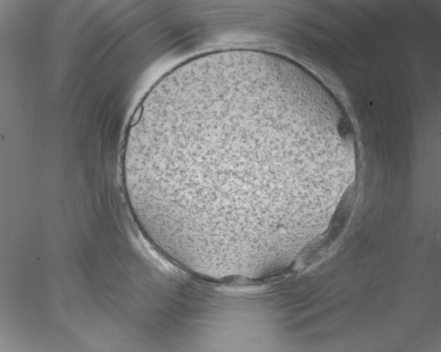 X0000076431296200611031830