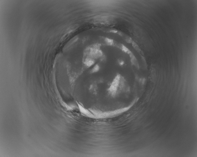 X0000076431297200611031829