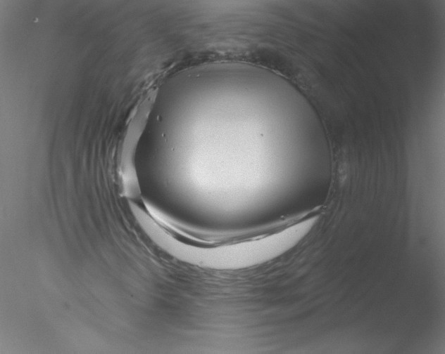 X0000076431298200611031829