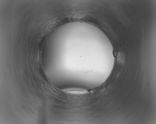 X0000076431299200611031829