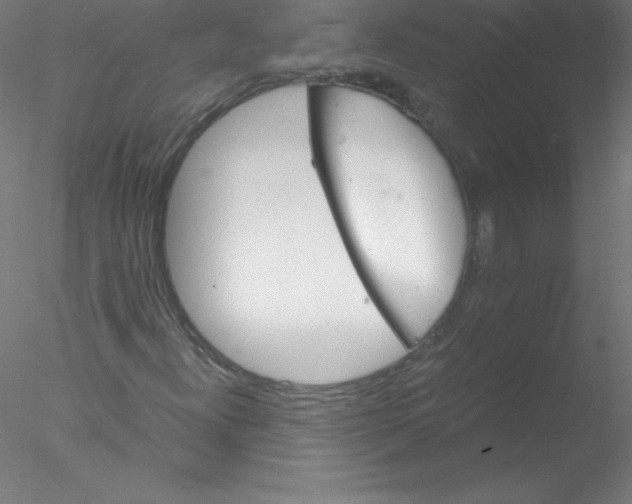 X0000076431300200611031829