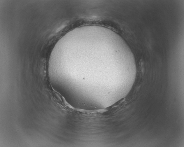 X0000076431301200611031829