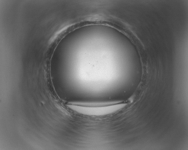 X0000076431304200611031829