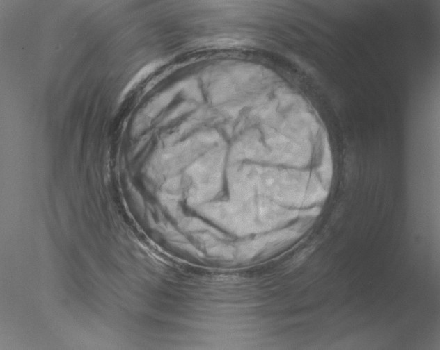 X0000076431306200611031829