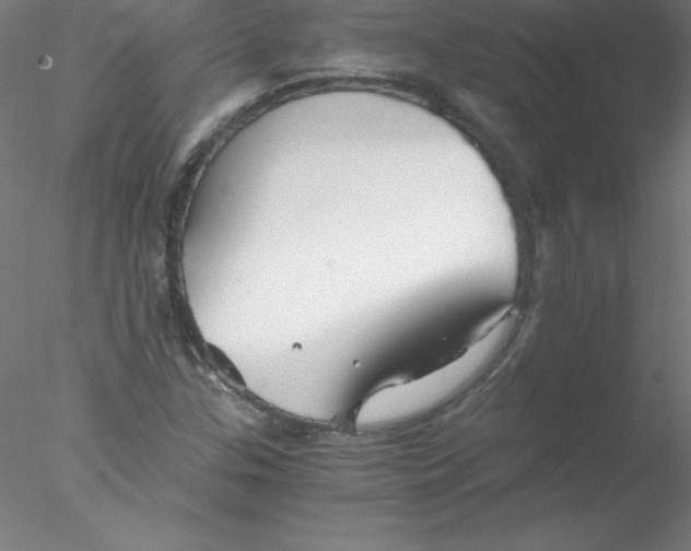 X0000076431307200611031829