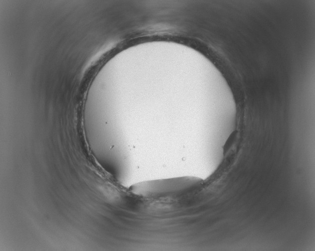 X0000076431309200611031829