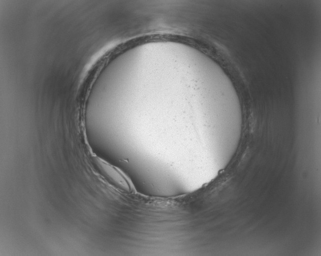 X0000076431310200611031829