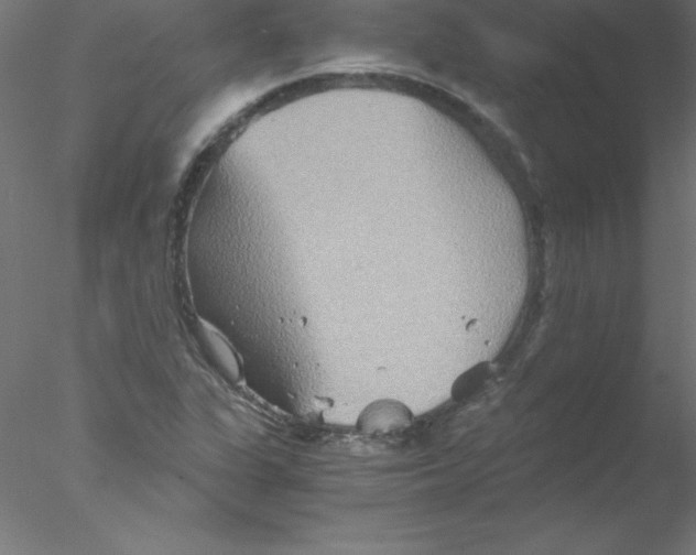 X0000076431311200611031829