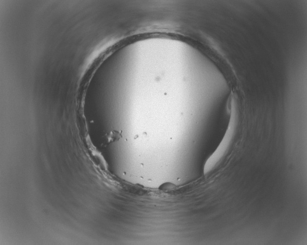 X0000076431312200611031829