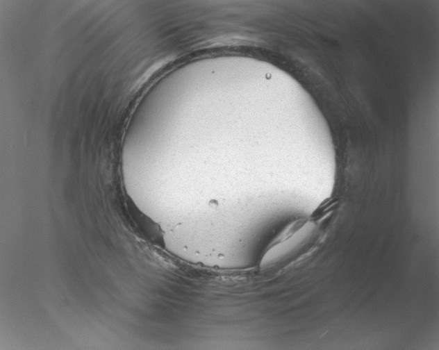 X0000076431313200611031829