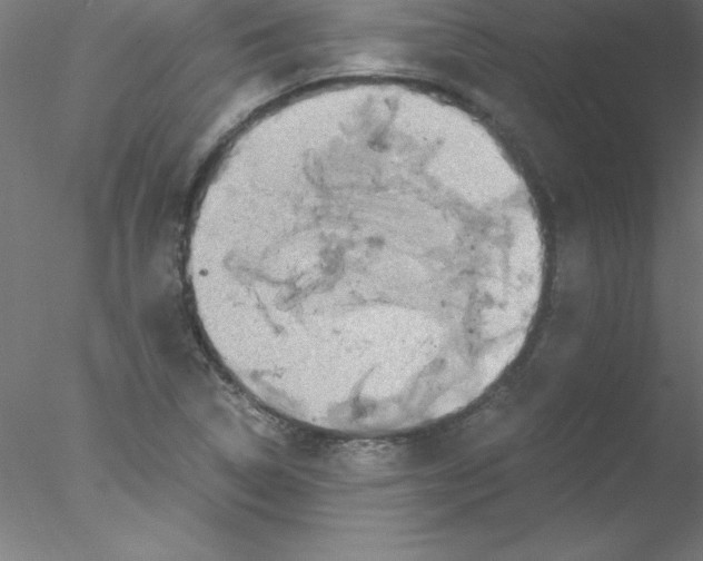 X0000076431314200611031829