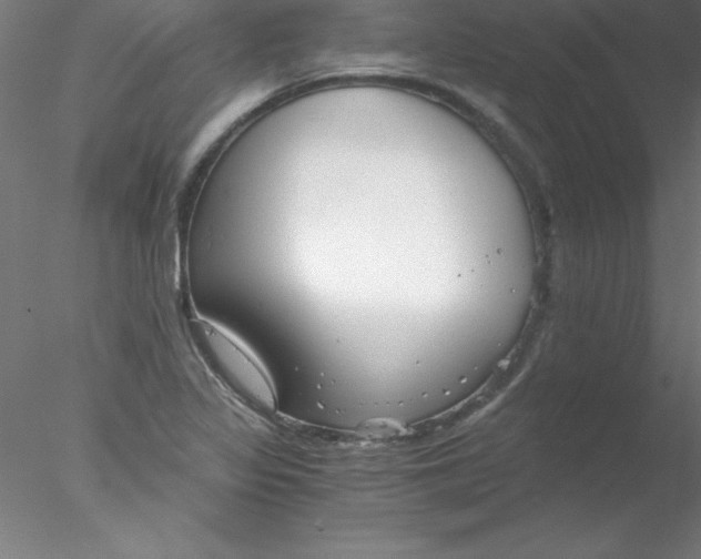 X0000076431317200611031829