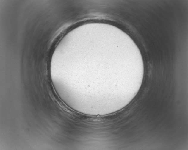 X0000076431318200611031829