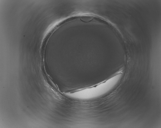 X0000076431319200611031829