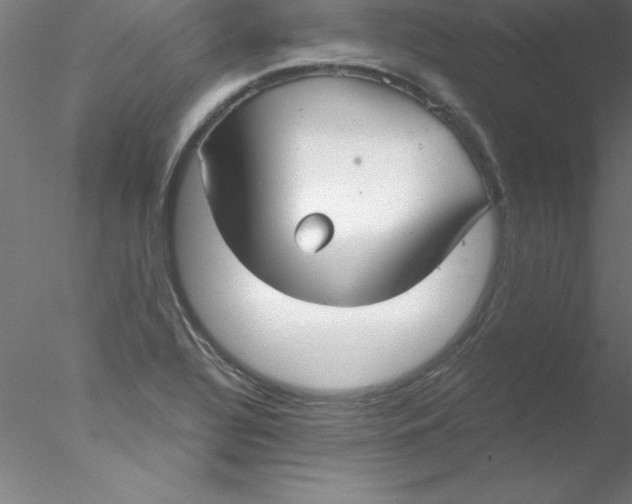 X0000076431320200611031829