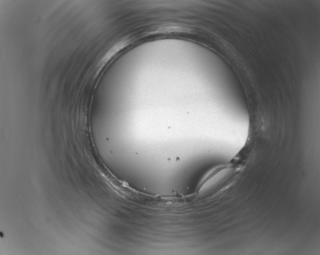 X0000076431321200611031829