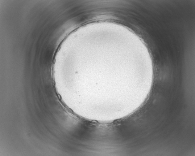 X0000076431322200611031829