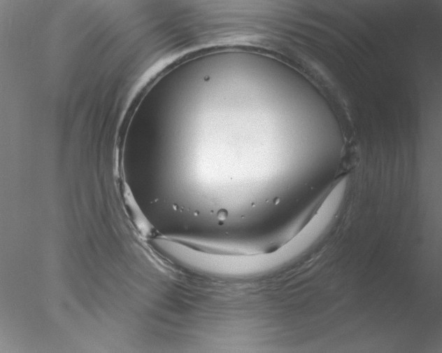 X0000076431324200611031829