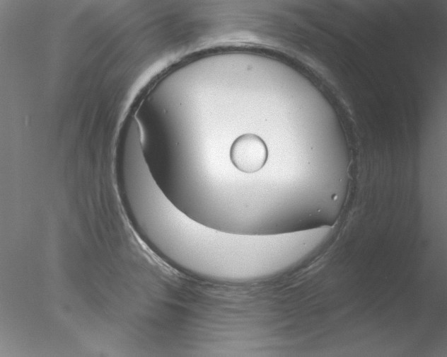 X0000076431326200611031829