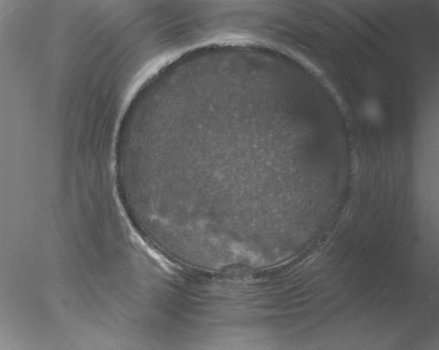 X0000076431327200611031829