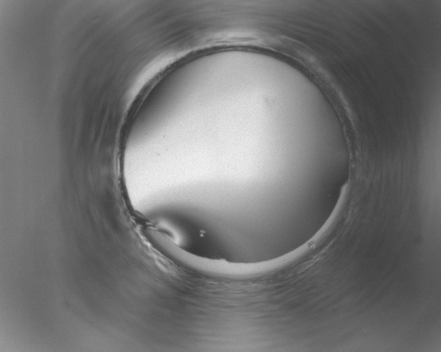 X0000076431328200611031829