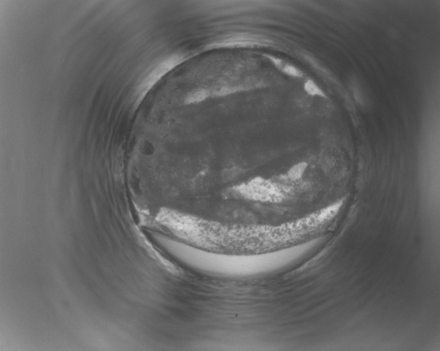 X0000076431329200611031829