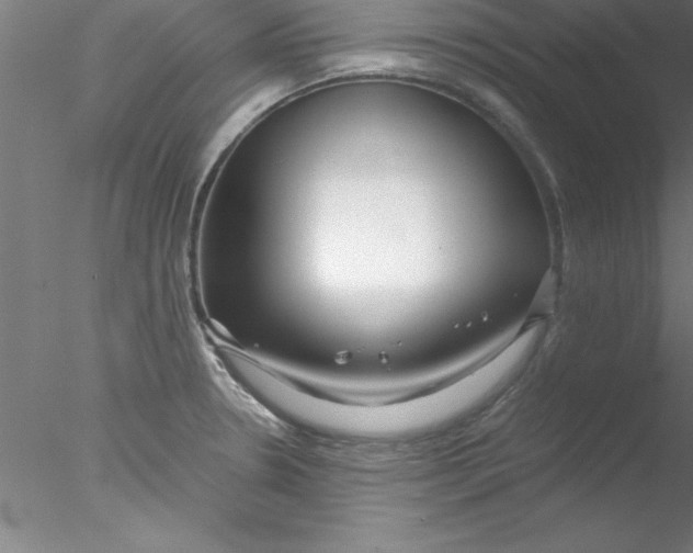 X0000076431330200611031829