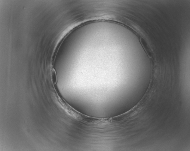 X0000076431332200611031829