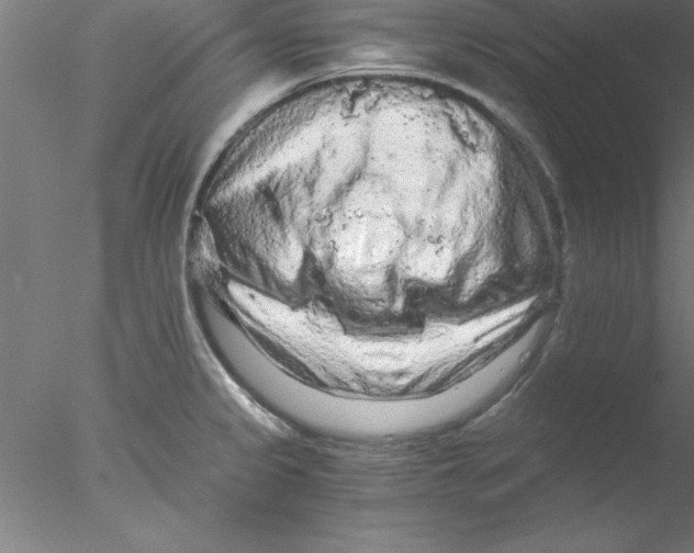 X0000076431333200611031829