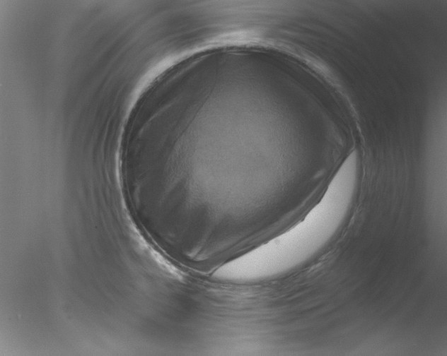 X0000076431334200611031829