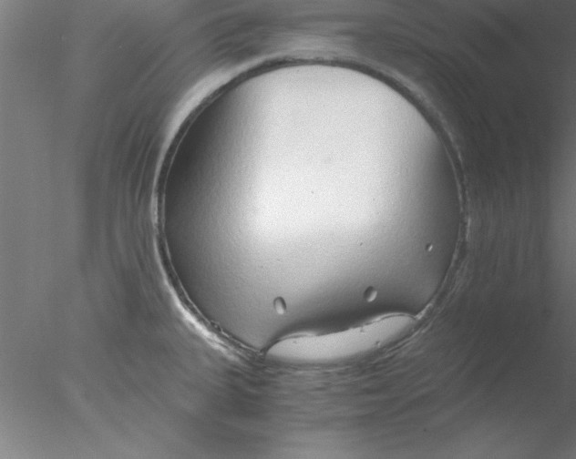 X0000076431335200611031829