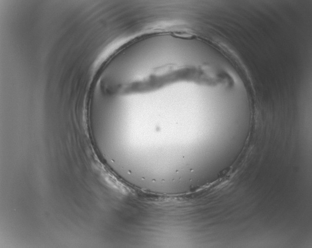 X0000076431336200611031829