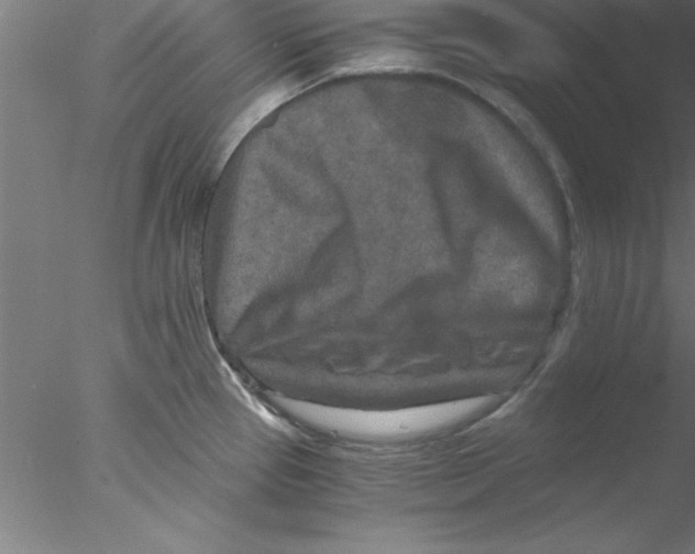 X0000076431337200611031829