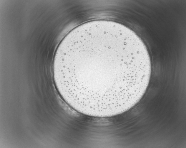 X0000076431338200611031829