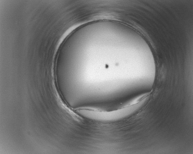 X0000076431339200611031829