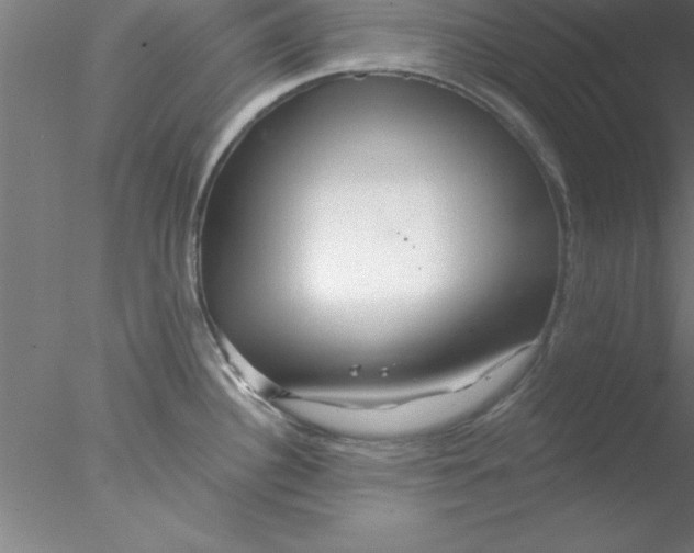 X0000076431340200611031829