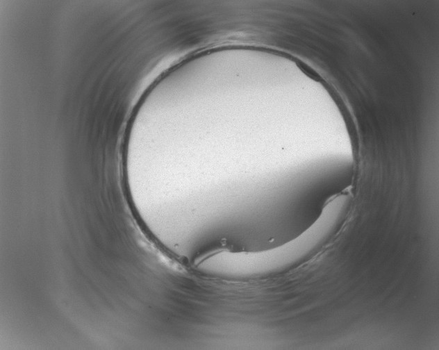 X0000076431341200611031829