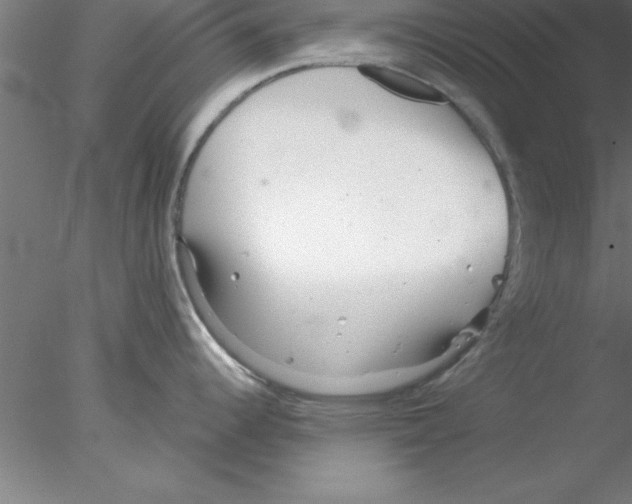 X0000076431344200611031830