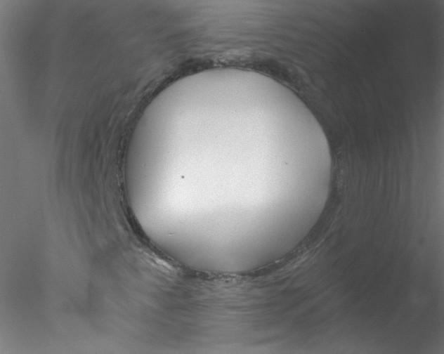 X0000076431345200611031829