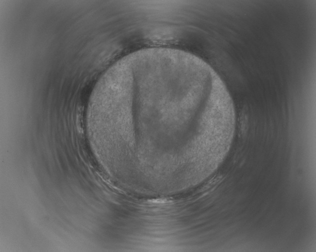 X0000076431346200611031829