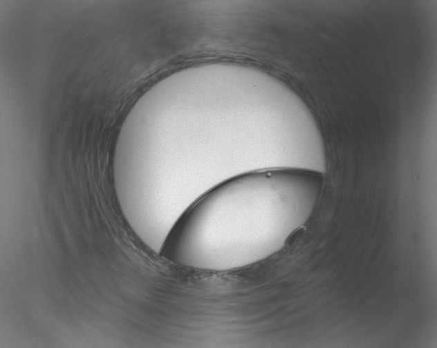 X0000076431348200611031829