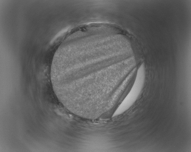 X0000076431351200611031829