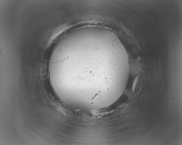 X0000076431352200611031829