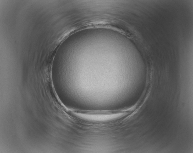 X0000076431353200611031829