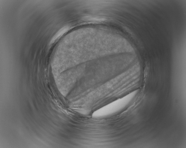 X0000076431354200611031829