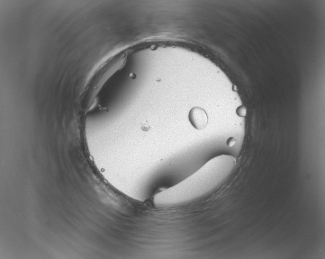 X0000076431356200611031829