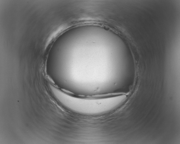 X0000076431357200611031829